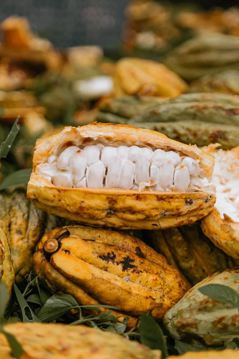 Amazu - 100% cacao from Ecuador