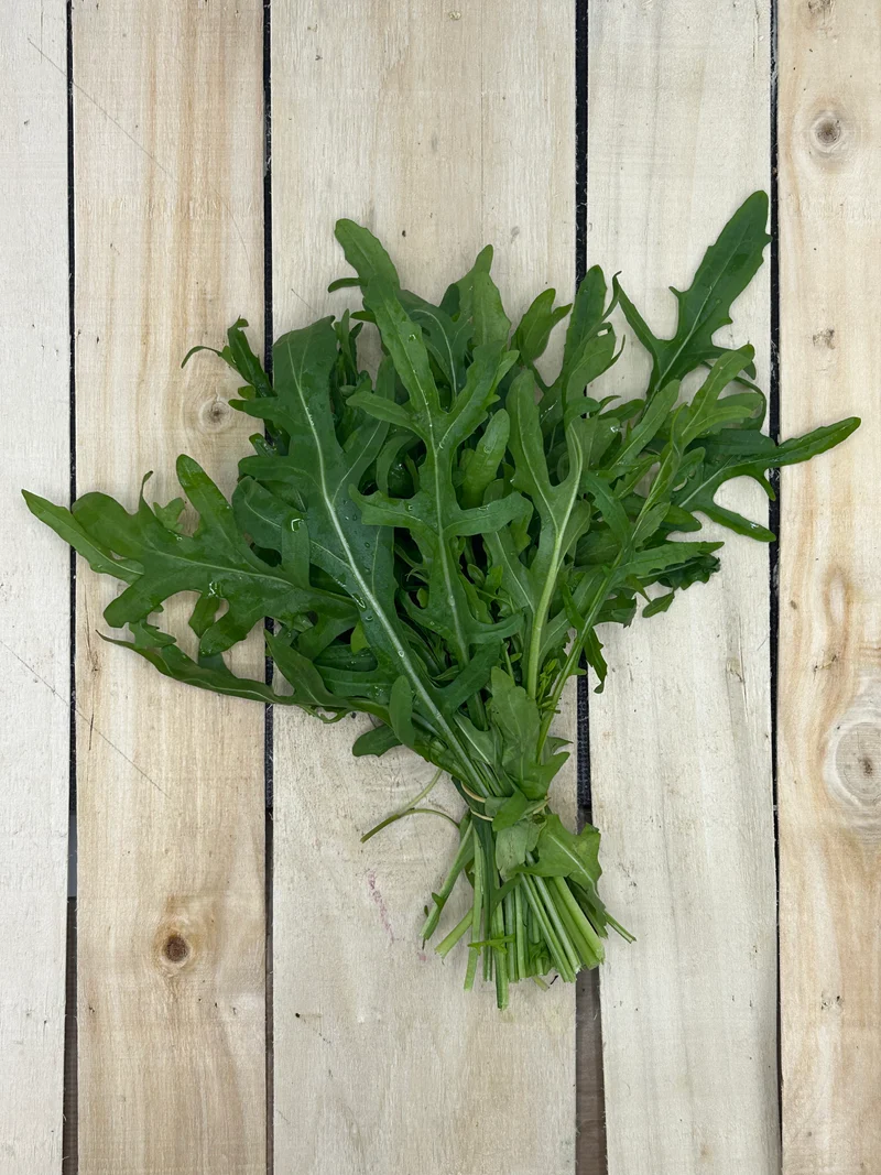 Roquette Botte