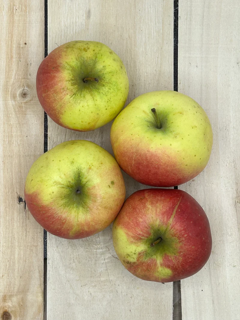 Pomme Boskoop +/- 1000gr