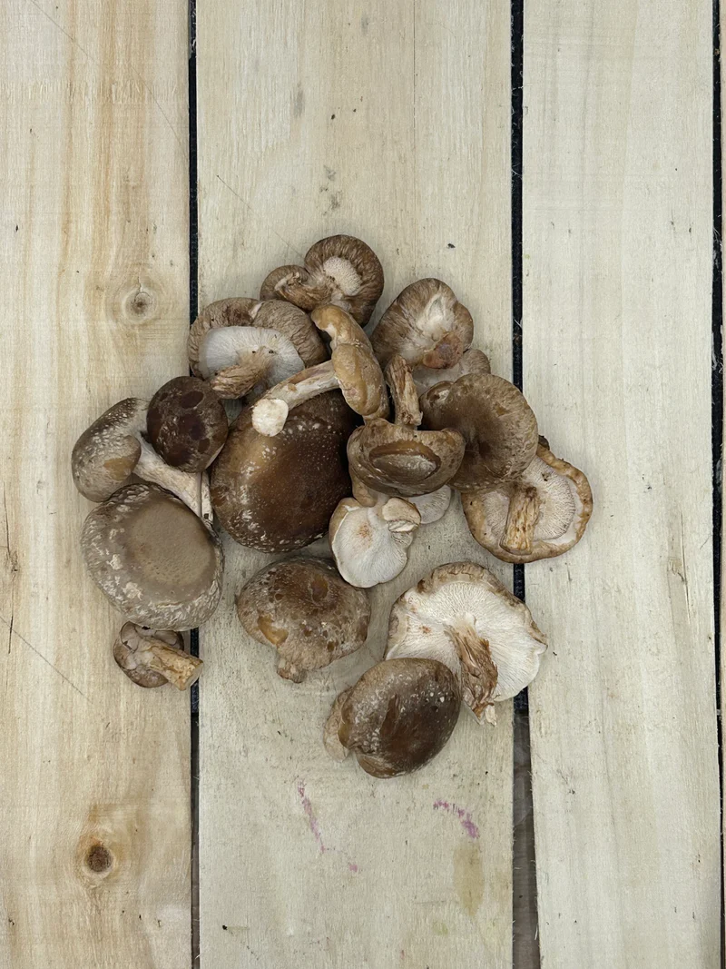 Champignon Shiitaké +/- 250gr