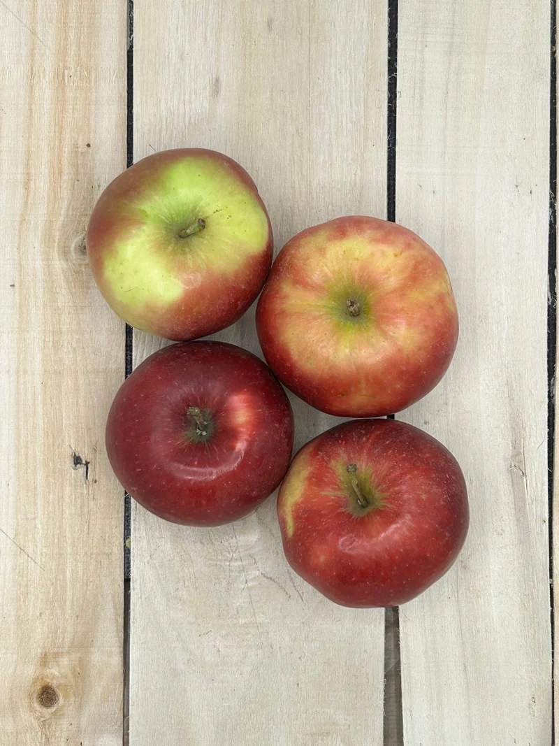 Pomme Elstar +/- 1000gr