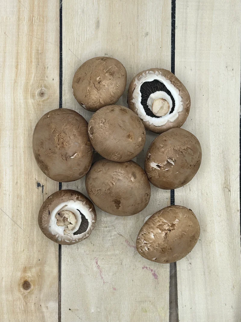 Champignon Châtaigne +/- 250gr