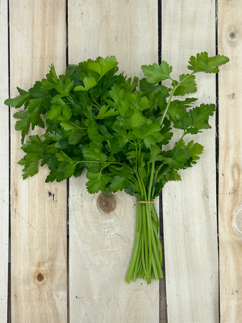 Persil Plat