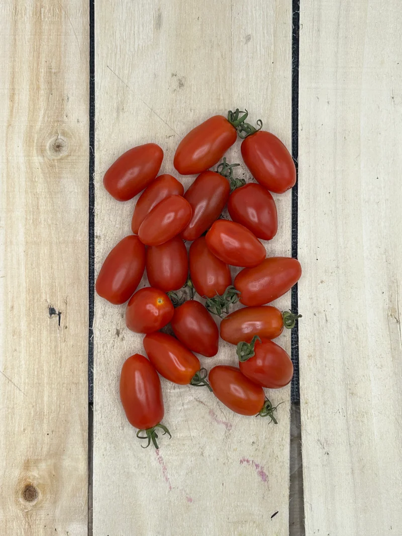 Tomate Mini San Marzano +/- 250gr