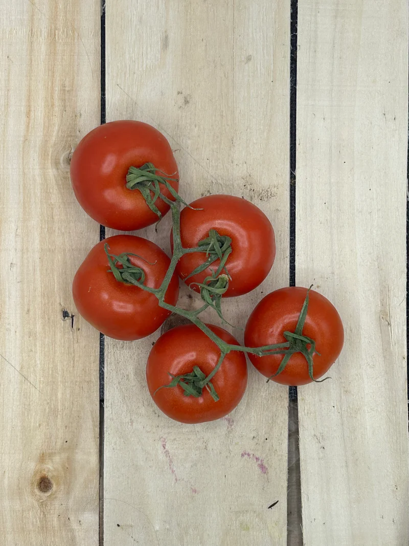 Tomate Grappe +/- 500gr
