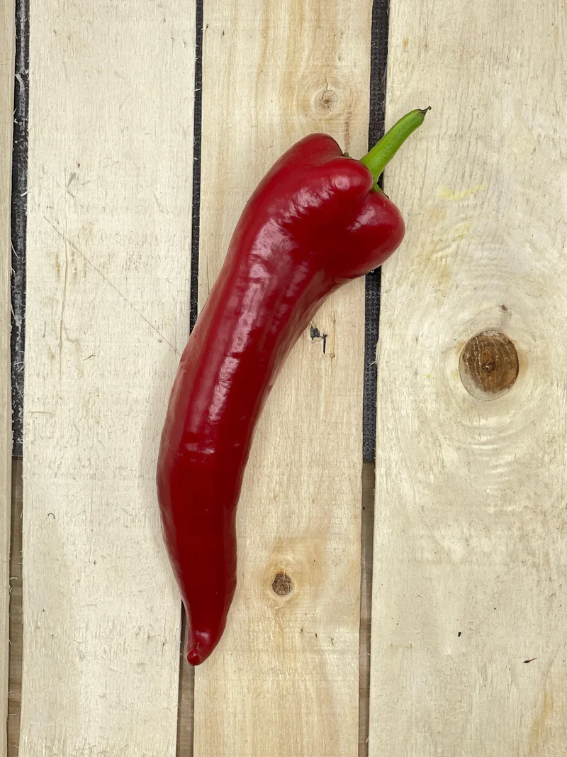 Poivron Ramiro Rouge / pièce (+/-200gr)