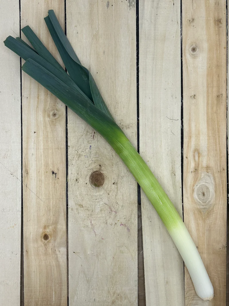 Poireau / pièce (+/-300gr)