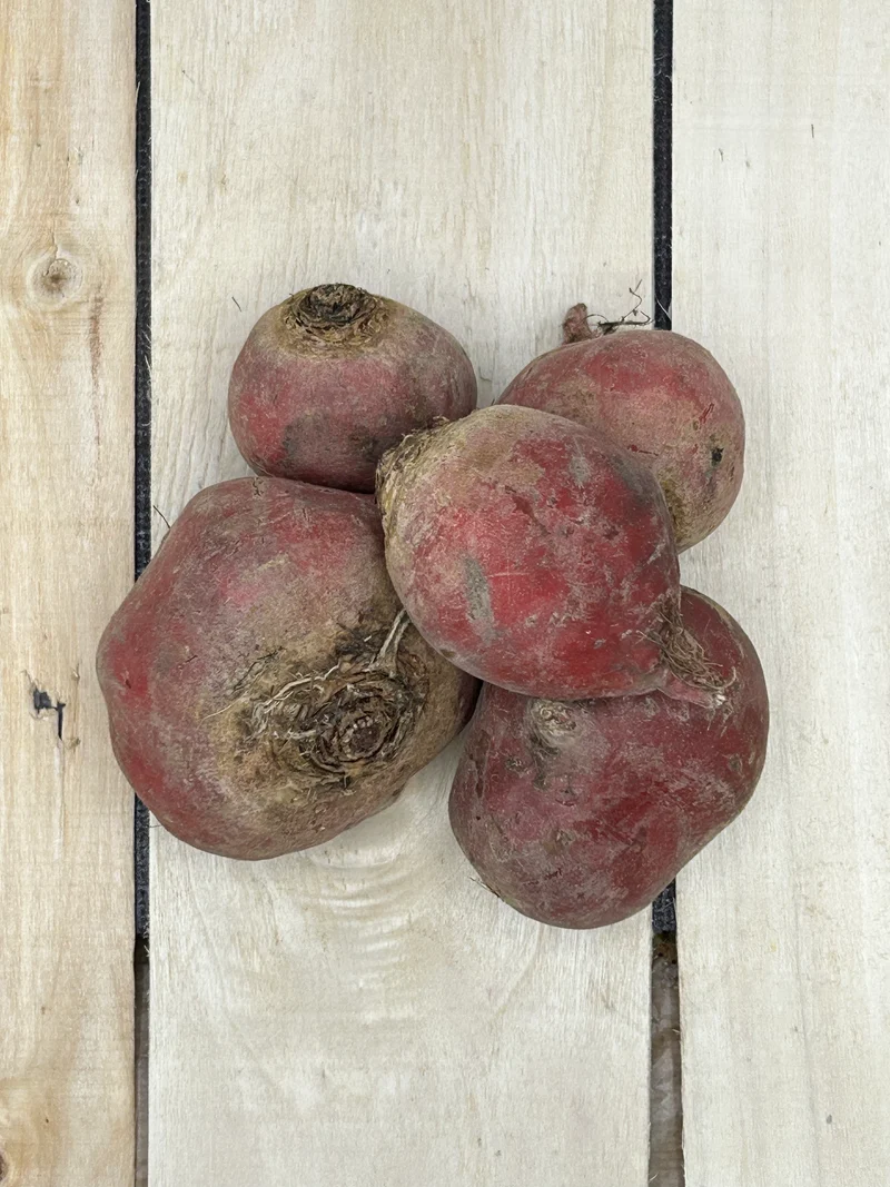 Betterave Chioggia +/- 500gr