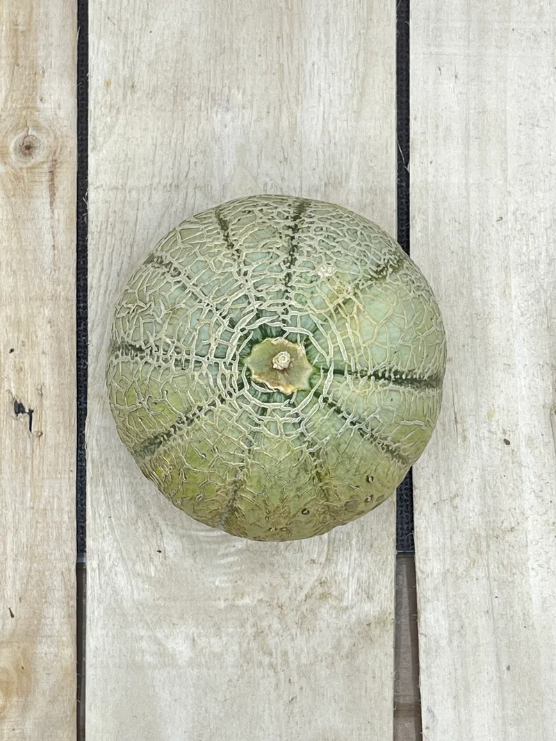 Melon Charentais / pièce ()