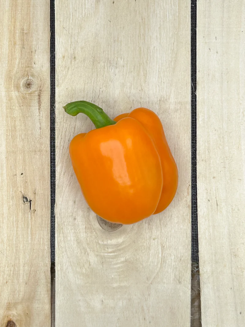 Poivron Orange / pièce (+/-250gr)
