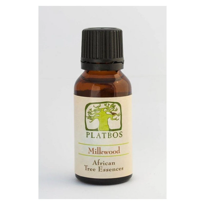 Platbos Milkwood - Boom van Heelheid 20ml