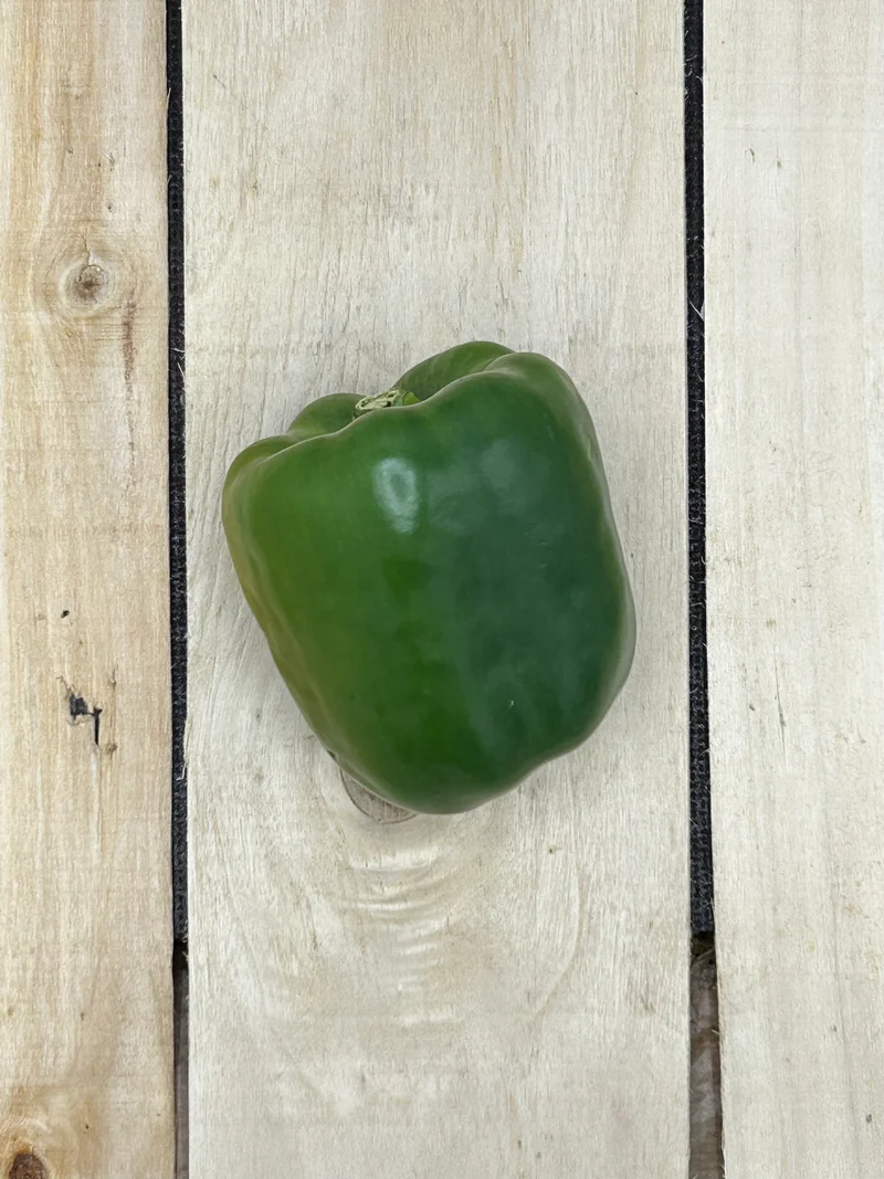 Poivron Vert / pièce (+/-250gr)