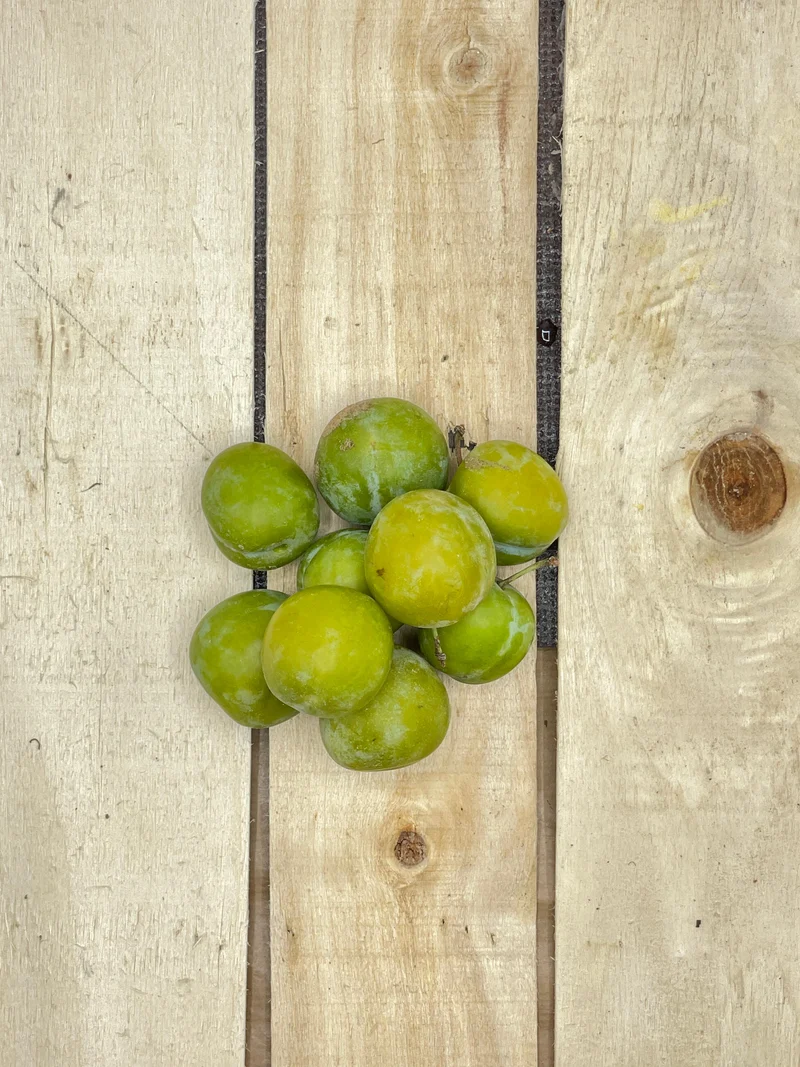 Prune Reine Claude +/- 250gr