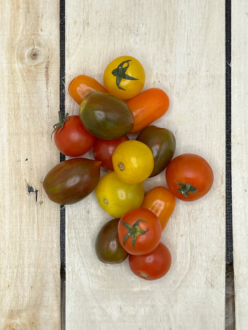 Tomate Cerise Multicolore +/- 250gr