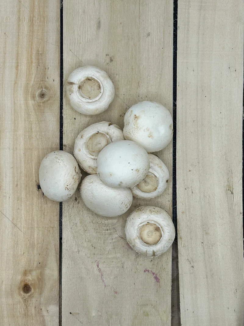 Champignon Blanc +/- 250gr