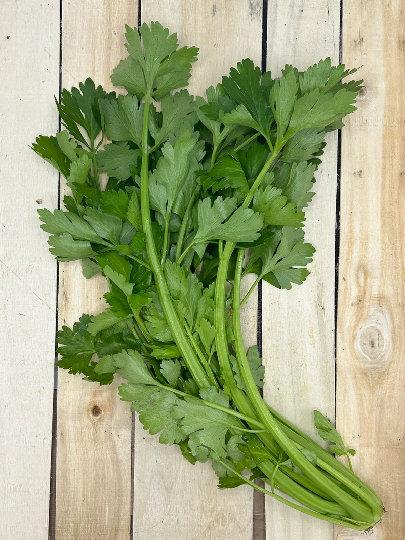 Celeri