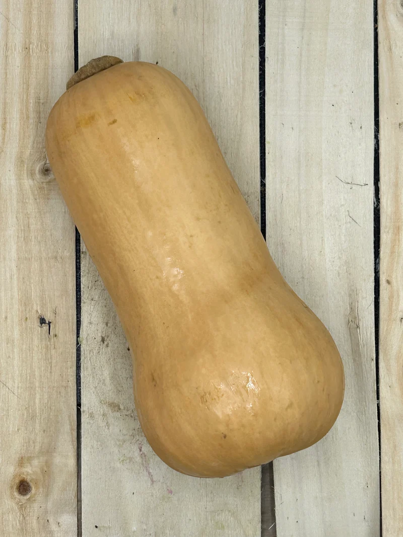 Courge Butternut / pièce (+/-1600gr)