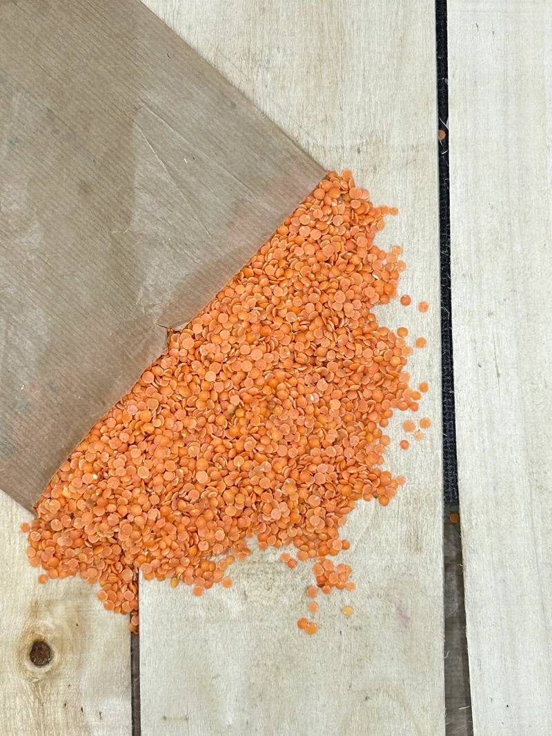 Lentille Corail +/- 500gr