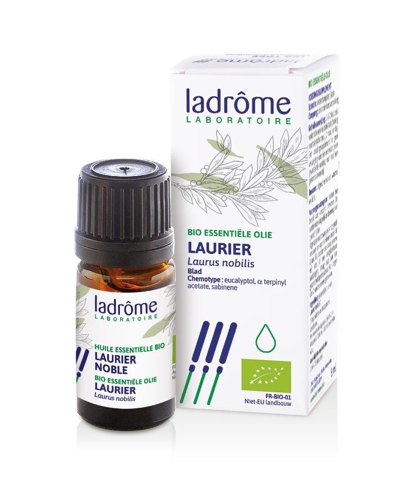 LADRÔME Laurus nobilis - Laurier