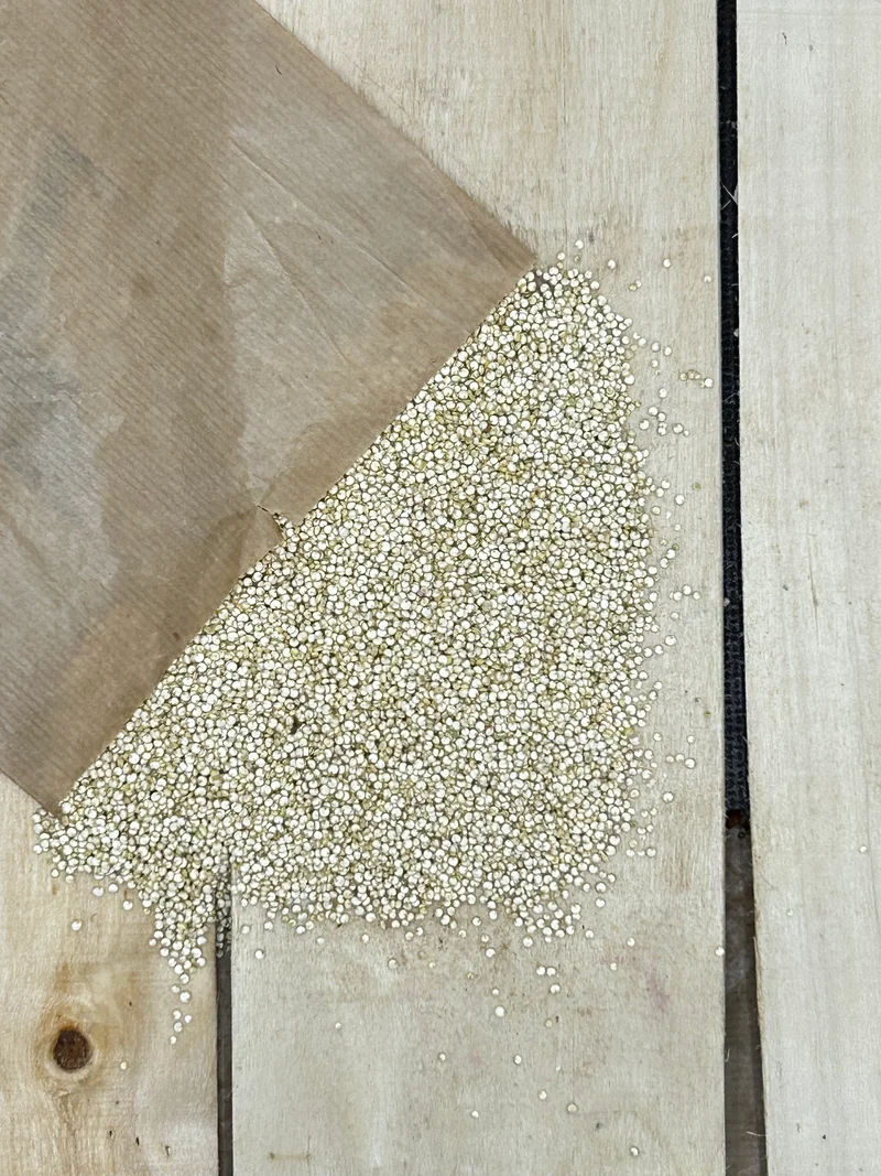 Quinoa Blanc +/- 500gr