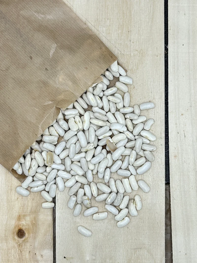 Haricot Blanc +/- 500gr