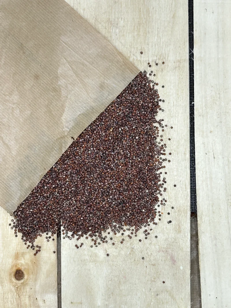 Quinoa Rouge +/- 500gr