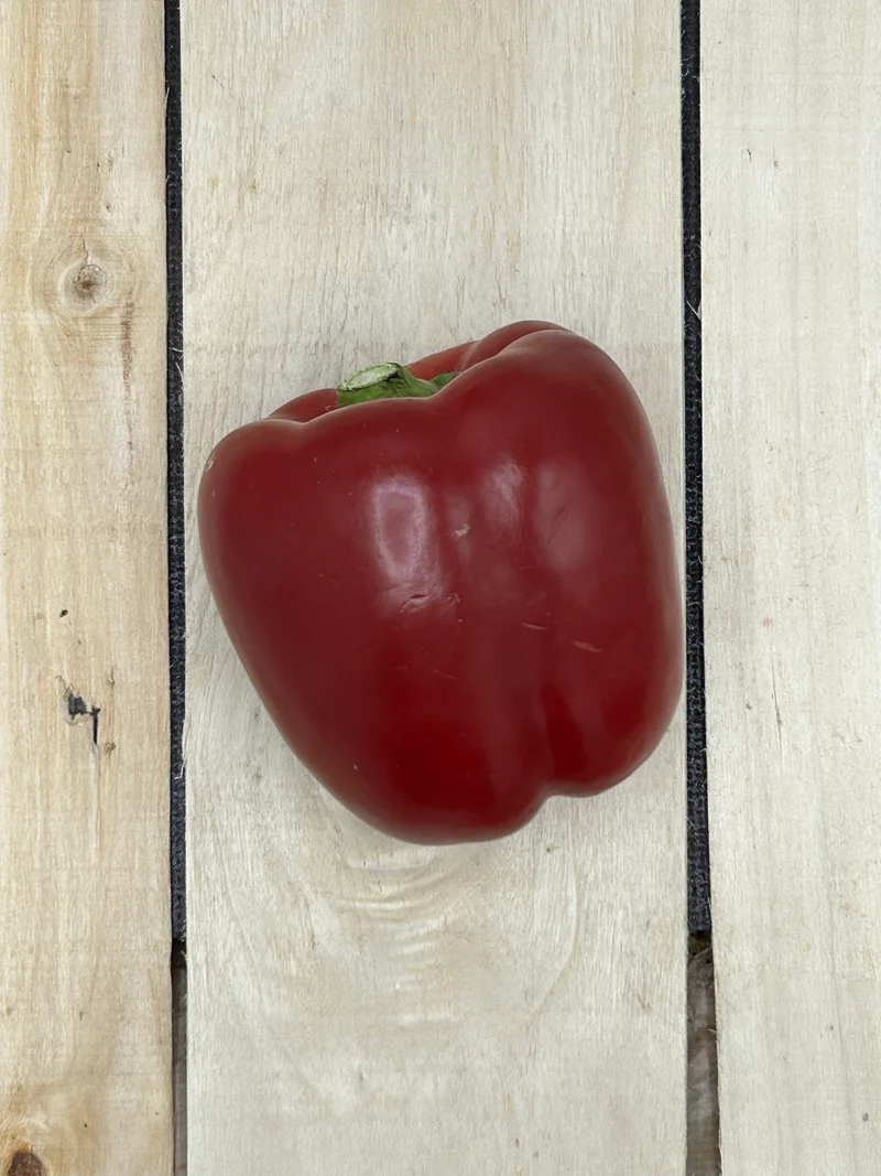 Poivron Rouge / pièce (+/-250gr)