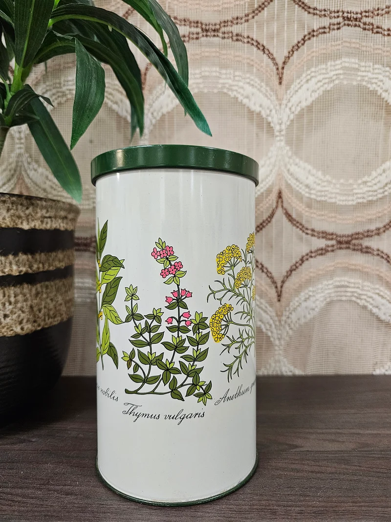Beschuitblik botanica