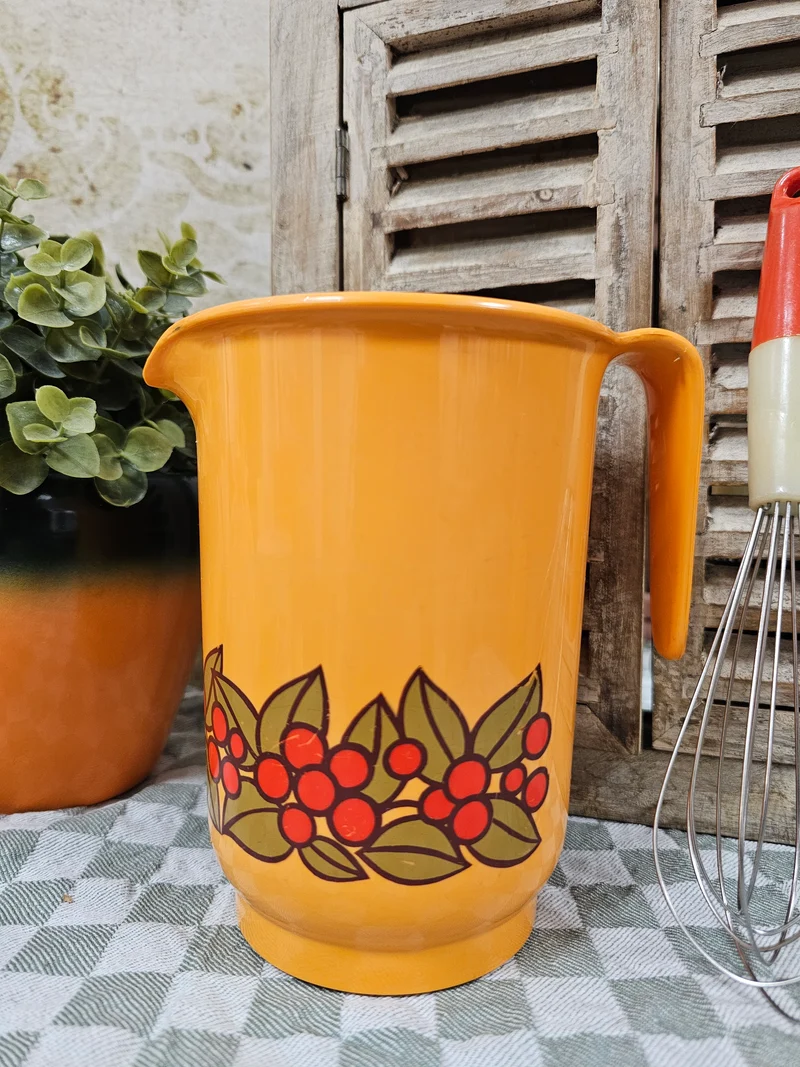 Emsa oranje kan