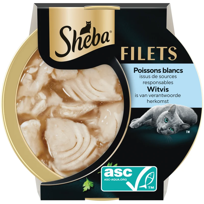 Sheba filets witvis