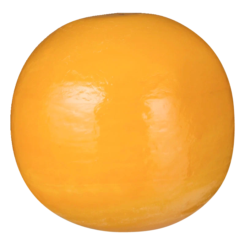 Edam Jong 40+ bol
