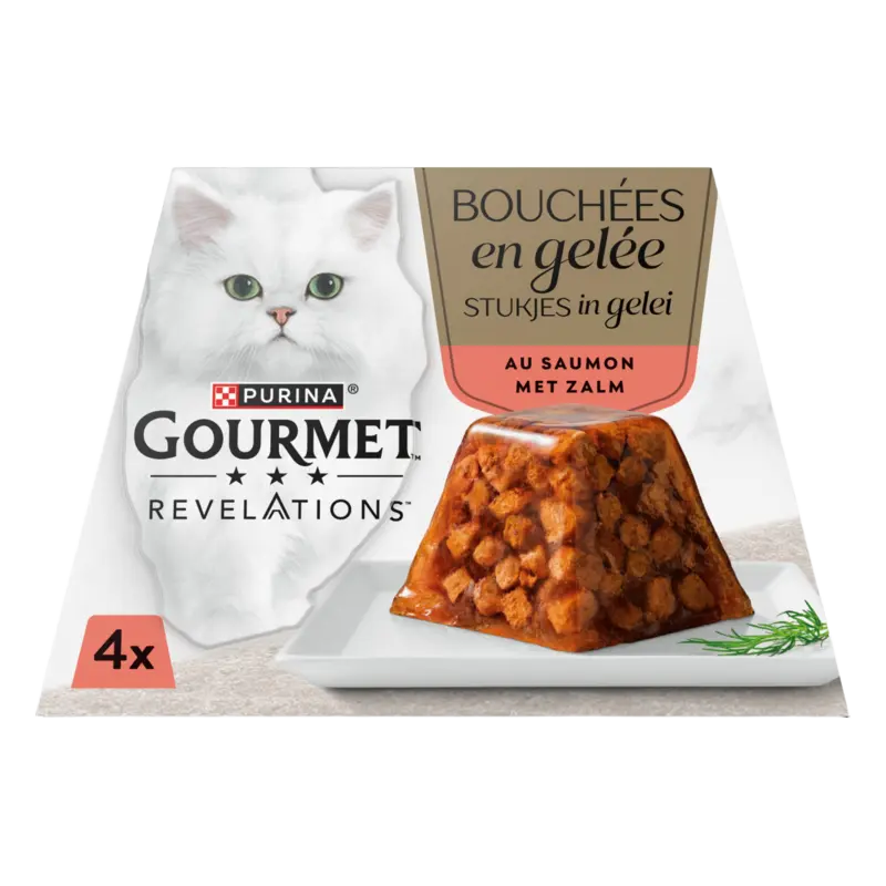Gourmet Revelations stukjes in gelei met zalm