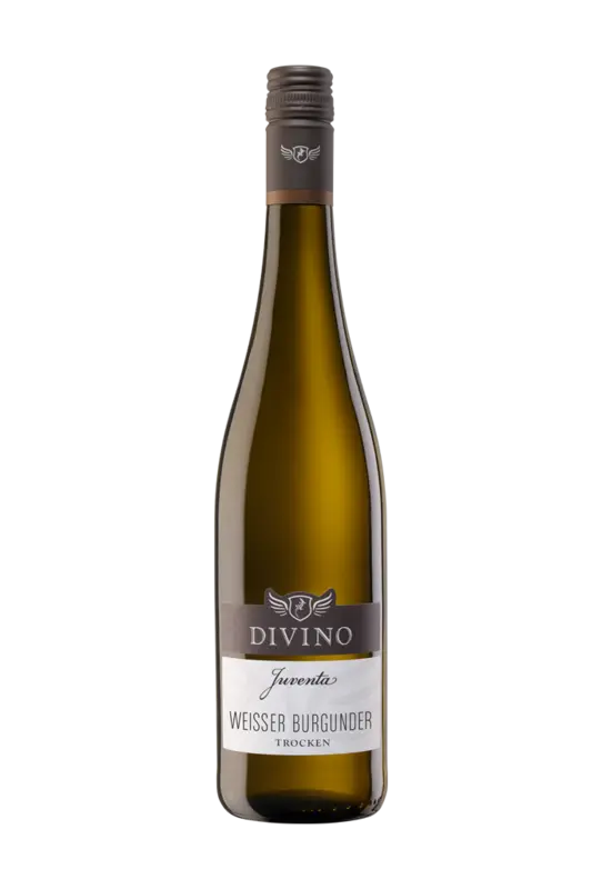 Divino Juventa weissburgunder