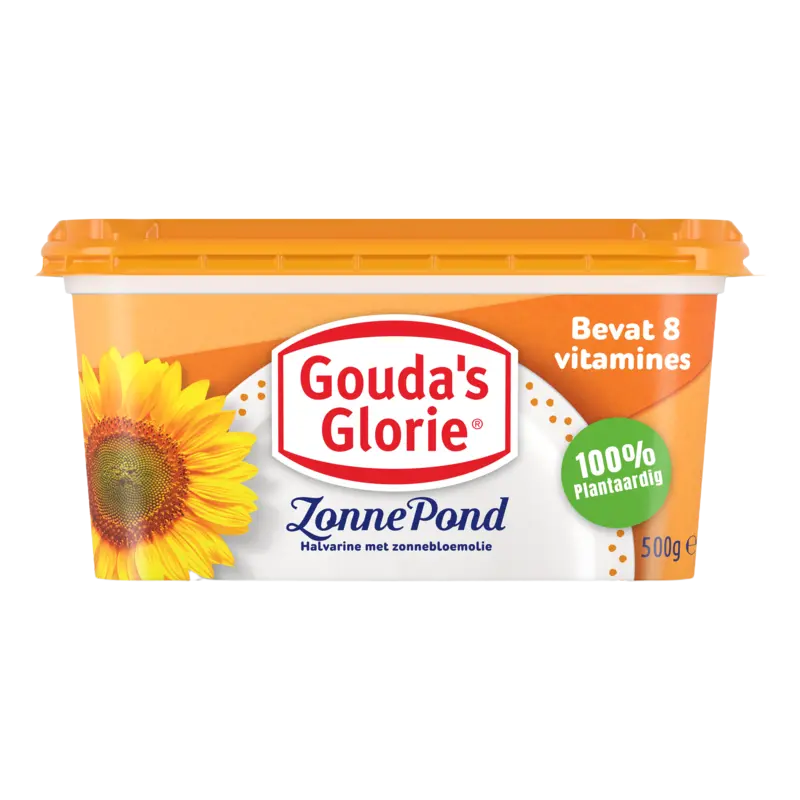Gouda's Glorie Zonnepond