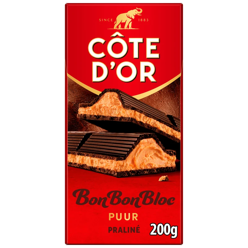 Côte d'Or BonBonBloc Praline Puur
