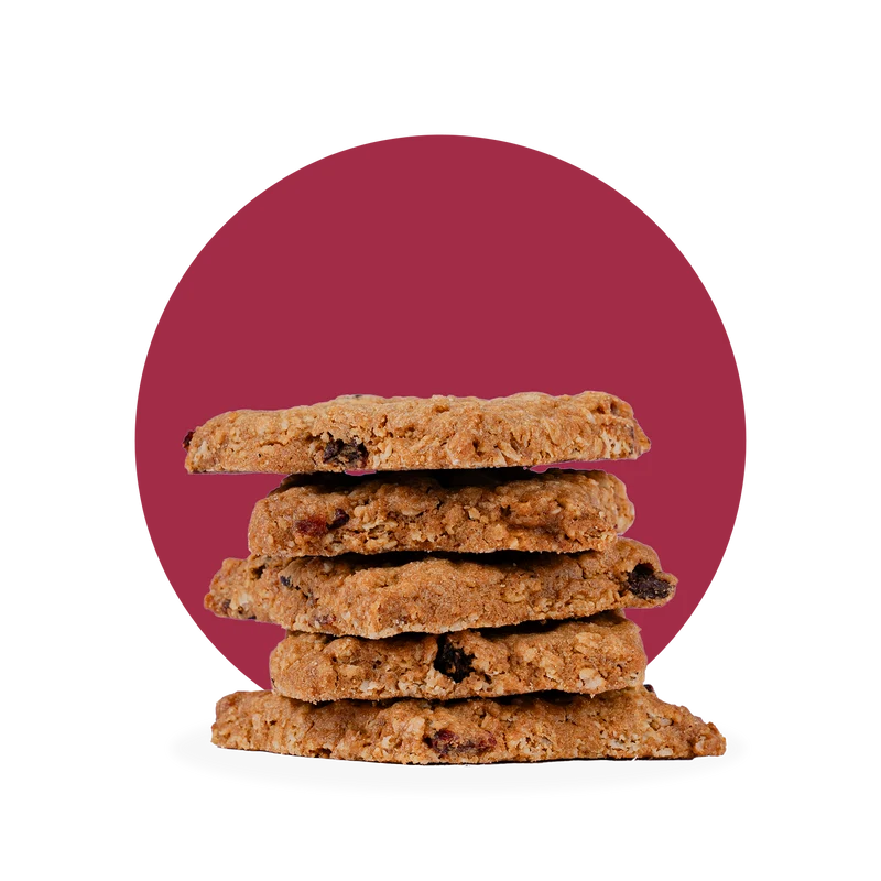 HAVERMOUTKOEK MET CRANBERRIES EN ROZIJNEN (VEGAN)