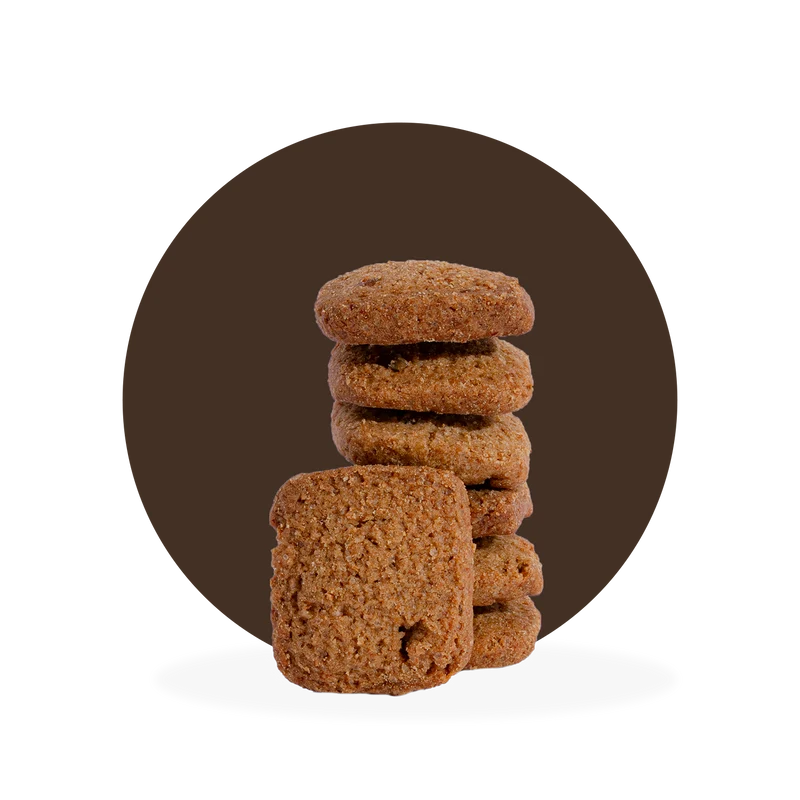 SPELT HAVERMOUT-GEMBER (VEGAN)