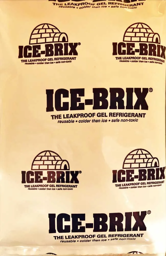 Ice Packs 4" x 6"