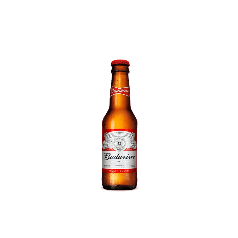 BUDWEISER FLESJE 24x33 CL.