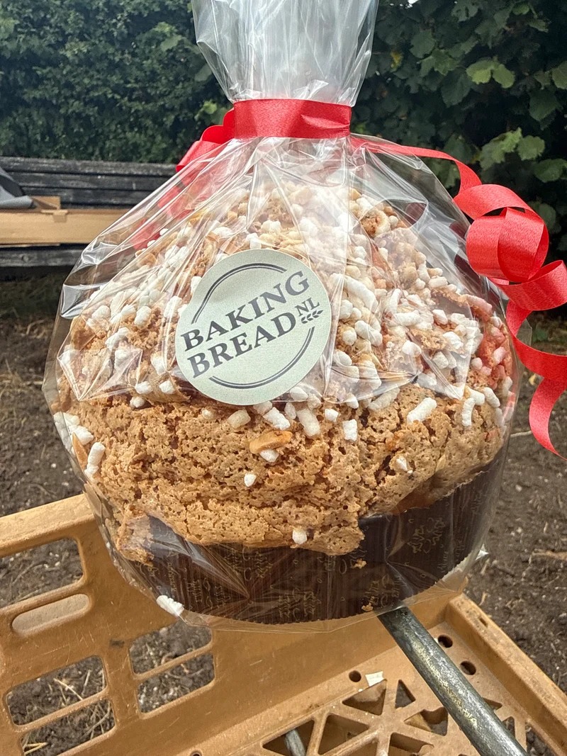Panettone amarene kers klein