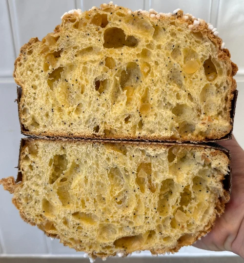 Panettone citroen maanzaad witte chocolade